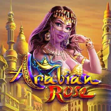 Arabian Rose